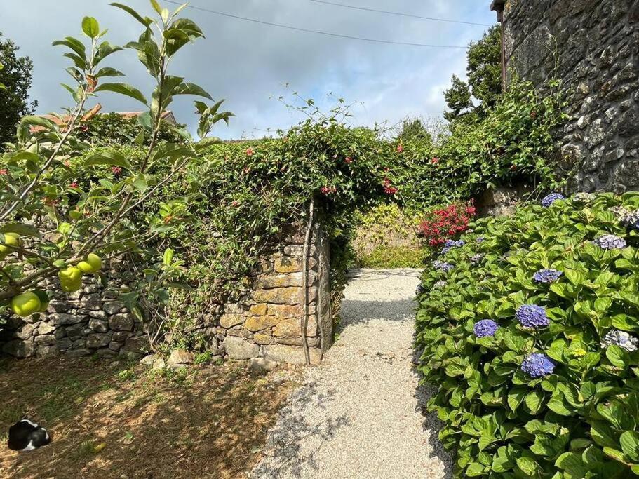 Lugar Do Curro, San Martino De Ozon Βίλα Muxia Εξωτερικό φωτογραφία